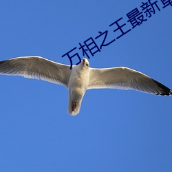 尊龙凯时-人生就是搏!