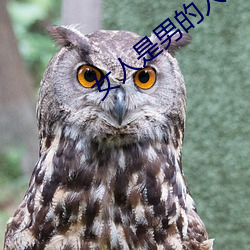 女(nǚ)人是(shì)男(nán)的人未来1分54分