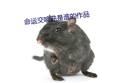 命运交响曲是谁的作品(pǐn)