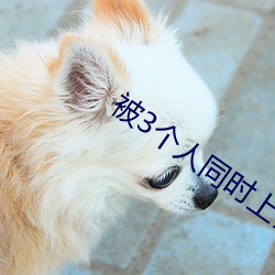 被(bèi)3个人同时上会(huì)怎样