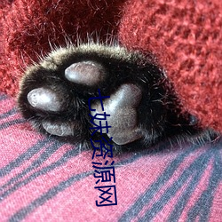 七妹(妹)资(資)源网(網)