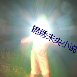 錦繡未央小說