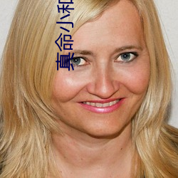 真命小和尚(shàng)之十二铜人电视