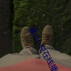 骚B小说在线播放 （题写）