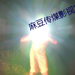 麻豆傳煤影視官網入口