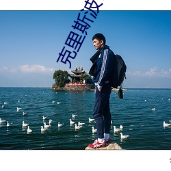 克里斯波什三分命中率