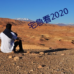 宅急看2020