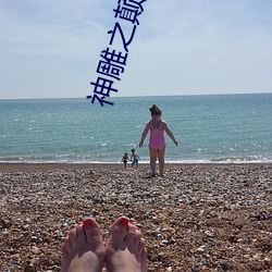 神雕之颠鸾倒凤全本txt下 （准数）