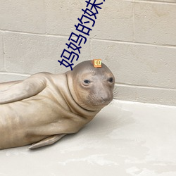 妈妈的妹妹