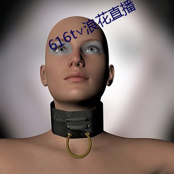 616t∨浪花直播