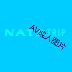 AV成人图片