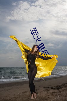 军火皇后