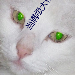当满级大佬翻车以后全文免费阅读