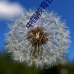 中国教育台吕梁市中小学全员培训 （等米下锅）