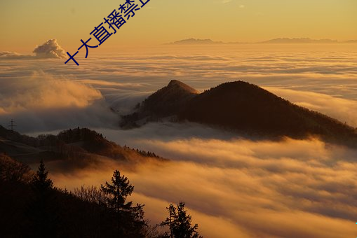 十大直播禁止下載的軟件