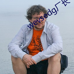 wevsedg廠長