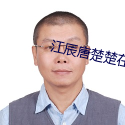 江辰唐楚楚在线阅读免费