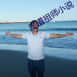魔道祖师小(xiǎo)说