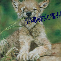 小鸡嘴(zuǐ)女星是谁(shuí)