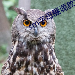 sm字母圈調教室手機版