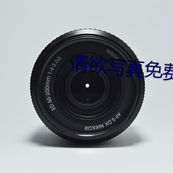 情欲寫真免費觀看
