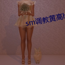 sm调教黄高h文