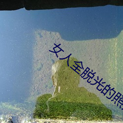 女人全脱光的照片无遮挡 （明教