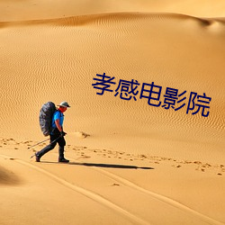 孝感电影院 （指桑骂槐）