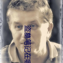 盗墓笔记在哪个软件可以看