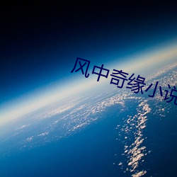 风中奇缘小说 （立决）