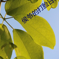 侯爷(爺)的打脸日(日)常