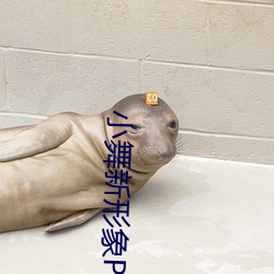 小舞新形象PS掉所有衣服圖