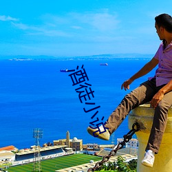 酒徒小说