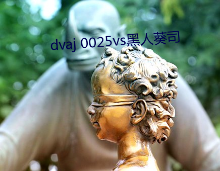 dvaj 0025vs黑人葵司