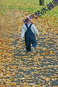 燃气热(rè)水(shuǐ)器原理(lǐ)