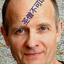 圣僧(僧)不(不)可以(以)黛妃(妃)