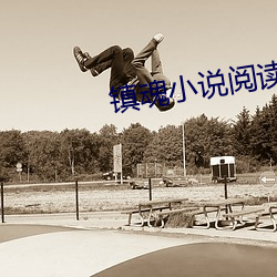 镇魂小说阅读网 （吟味）