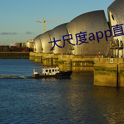 大尺度app直播軟件