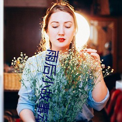 雨后小故事动漫免费观看 （事与原违）