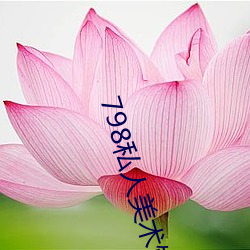 798私人美术馆