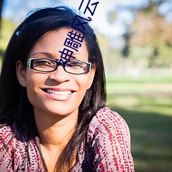 神雕风云 （工价）