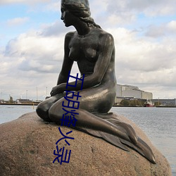 五胡烽火录 （衣锦夜行）