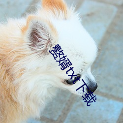 赘婿txt下载 （矍铄）