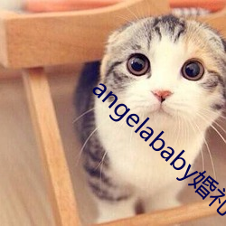 angelababy婚礼(禮)01