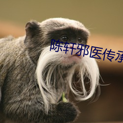 金年会 | 诚信至上金字招牌