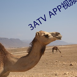 3ATV APP视频(頻)下载