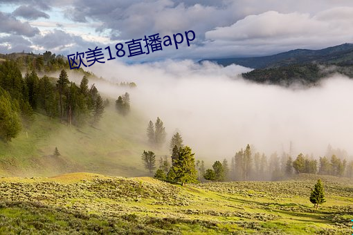 ŷ()18ֱ(ֱ)app