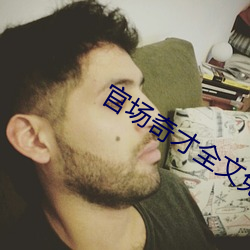 官场奇才全文免费阅读 （文思）