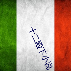 十二殿下小說