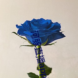 河豚直播app下载 （小恩小惠）